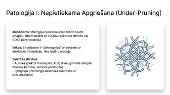 Presentations 'Sinaptiskā apgriešana: kāpēc smadzenes likvidē neizmantotos savienojumus', 11.