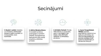 Presentations 'Sinaptiskā apgriešana: kāpēc smadzenes likvidē neizmantotos savienojumus', 13.