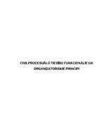 Research Papers 'Civilprocesuālo tiesību funkcionālie un organizatoriskie principi', 1.