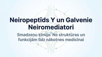 Presentations 'Neiropeptīds Y un galvenie neiromediatori', 1.