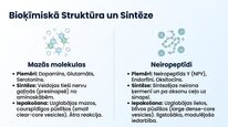 Presentations 'Neiropeptīds Y un galvenie neiromediatori', 4.