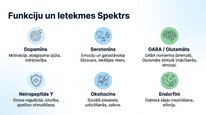 Presentations 'Neiropeptīds Y un galvenie neiromediatori', 6.
