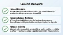 Presentations 'Neiropeptīds Y un galvenie neiromediatori', 25.