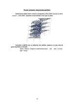 Research Papers 'Dzelzsbetona konstrukciju aprēķins datorprogrammās Lira un Monomax', 14.