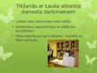 Presentations 'Tēja kā sociālās kultūras elements pasaulē un Talsu iedzīvotāju tējas lietošanas', 13.