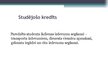 Presentations 'Kredītu būtība un to izplatība Daugavpils Universitātes studentu vidū', 13.