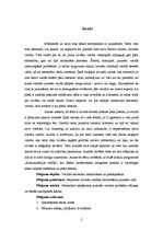 Research Papers 'Latviešu valodas lietojums jauniešu vidū', 2.