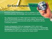 Presentations 'Environmental Economics', 2.