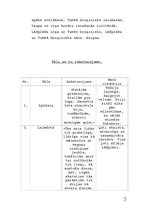 Research Papers 'Andrejs Pumpurs "Lāčplēsis"', 5.