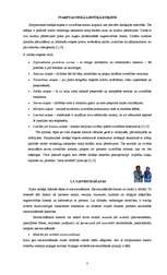 Research Papers 'Etiķete un biznesa kultūra Itālijā', 2.