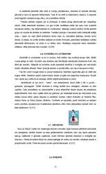 Research Papers 'Etiķete un biznesa kultūra Itālijā', 12.
