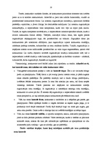Term Papers 'SIA "Cita Tipogrāfija" konkurētspējas stratēģija poligrāfijas nozarē', 16.