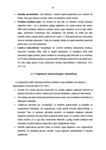 Term Papers 'SIA "Cita Tipogrāfija" konkurētspējas stratēģija poligrāfijas nozarē', 17.
