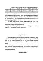 Term Papers 'SIA "Cita Tipogrāfija" konkurētspējas stratēģija poligrāfijas nozarē', 54.