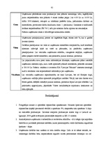 Term Papers 'SIA "Cita Tipogrāfija" konkurētspējas stratēģija poligrāfijas nozarē', 79.