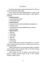 Research Papers 'Projektu vadīšanas principi, tehnikas un stili', 21.