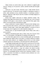 Term Papers 'SIA “Rubus” mārketinga darbības izmaiņas pēc iestāšanās Eiropas Savienībā un pri', 8.