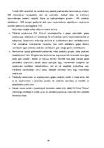 Term Papers 'SIA “Rubus” mārketinga darbības izmaiņas pēc iestāšanās Eiropas Savienībā un pri', 45.