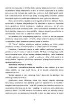Term Papers 'SIA “Rubus” mārketinga darbības izmaiņas pēc iestāšanās Eiropas Savienībā un pri', 49.