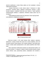 Term Papers 'Анализ внутренней и внешней среды и план развития SIA "Izabella-D"', 19.