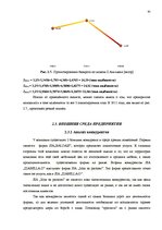 Term Papers 'Анализ внутренней и внешней среды и план развития SIA "Izabella-D"', 39.