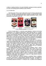 Research Papers 'Starptautiskā tirdzniecība - Pure Food produkcijas eksports uz Vāciju', 10.