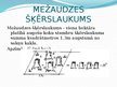 Presentations 'Mežaudzes šķērslaukuma noteikšanas vienkāršotie paņēmieni', 3.