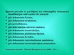 Presentations 'Dokumentu tipoloģija', 10.