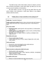 Practice Reports 'Pirmsskolas skolotāja pedagoģiskā prakse  3.vecumposms', 28.