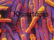 Presentations 'Klostrīdiju ģints baktērijas', 1.
