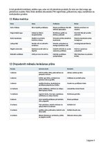 Business Plans 'Mazo ogu saimniecība ar ogu kastēm pēc pasūtījuma', 6.