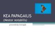 Presentations 'Kea papagailis', 1.