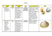 Summaries, Notes 'Gliemji', 1.