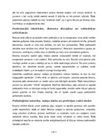 Essays 'Policista profesijas apguve kā karjeras iespēja pēc 12. klases beigšanas', 11.