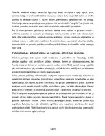 Essays 'Policista profesijas apguve kā karjeras iespēja pēc 12. klases beigšanas', 12.