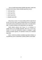 Term Papers 'Starptautiskās sadarbības aspekti profesionālās izglītības iestādē', 45.