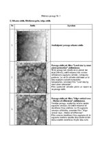 Summaries, Notes 'Atomu spēku mikroskopija', 2.