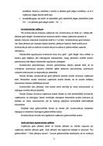 Practice Reports 'Prakses pārskats auditorfirmā "Deloitte Latvia"', 11.