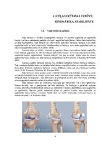 Research Papers 'Ceļa locītavas anatomija,stabilitāte un kinemātika', 4.