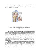 Research Papers 'Ceļa locītavas anatomija,stabilitāte un kinemātika', 8.