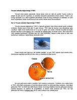 Research Papers 'Suns - neredzīga cilvēka pavadonis', 6.