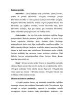 Research Papers 'Kultūras attīstība Latvijā 20.-30.gados', 3.