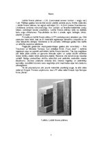 Summaries, Notes 'Lobītā finiera plātņu ražošana', 3.