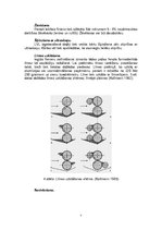Summaries, Notes 'Lobītā finiera plātņu ražošana', 7.
