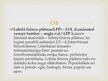 Summaries, Notes 'Lobītā finiera plātņu ražošana', 13.