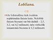 Summaries, Notes 'Lobītā finiera plātņu ražošana', 18.