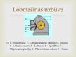 Summaries, Notes 'Lobītā finiera plātņu ražošana', 19.
