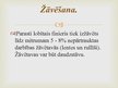 Summaries, Notes 'Lobītā finiera plātņu ražošana', 20.