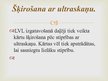 Summaries, Notes 'Lobītā finiera plātņu ražošana', 21.
