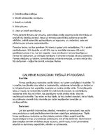 Research Papers 'Tiešā Tirzdniecība', 7.